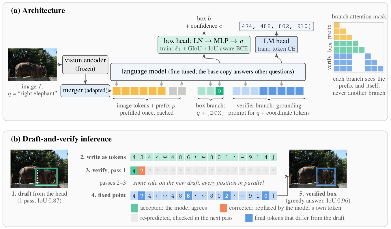 (a) Architecture: a frozen vision encoder and adapted merger feed a fine-tuned language model. A box branch ends in a [BOX] token read by an MLP box head; a verifier branch ends in coordinate tokens read by the LM head. A block attention mask lets each branch see the prefix and itself. (b) Inference: the draft box 434, 486, 801, 914 is written as tokens; pass 1 accepts the first token and corrects the second; after three passes the fixed point is 474, 488, 802, 910, the model's greedy answer with IoU 0.96.